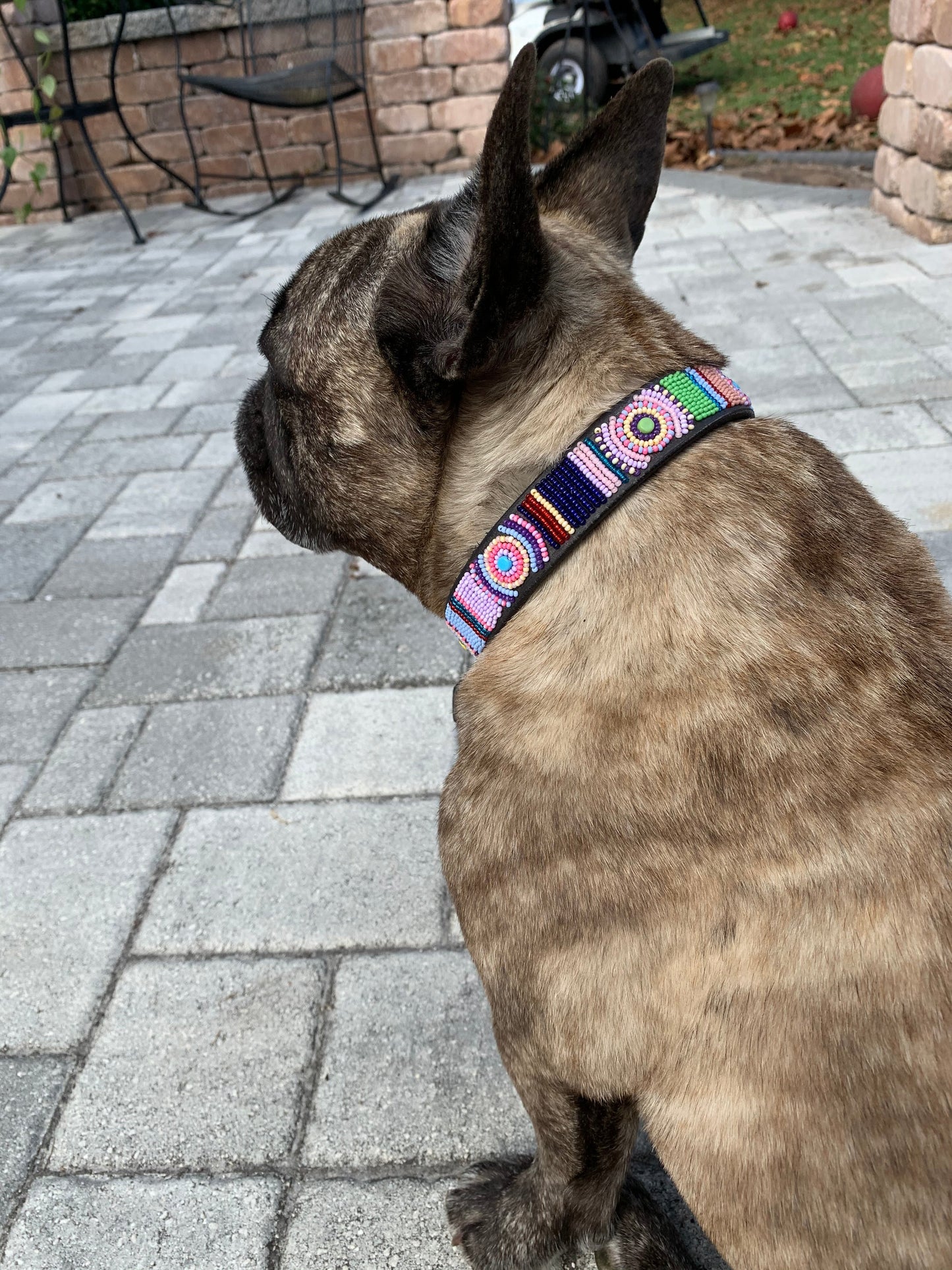 "Posey" Beaded Dog Collar