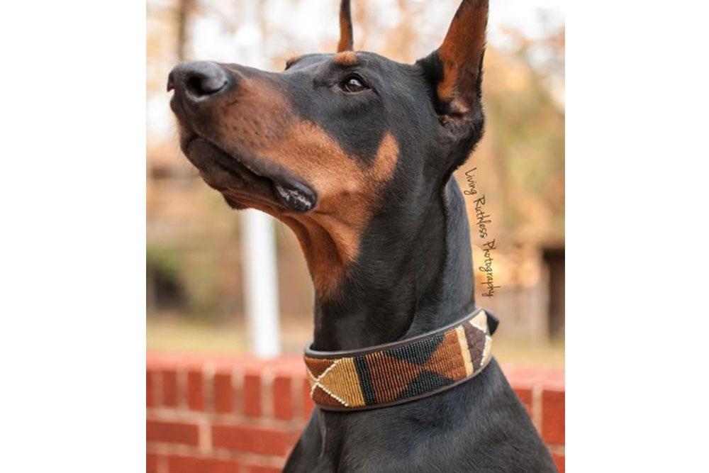 "Earth" Beaded Dog Collar